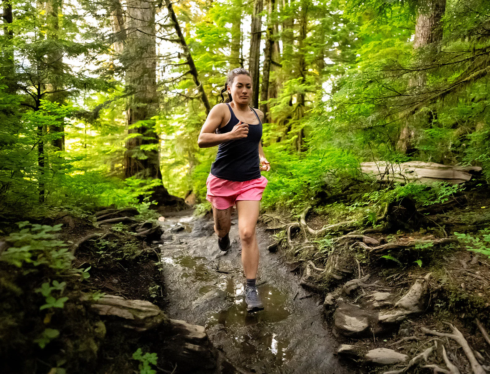 Women's Terraventure 4 WP - Image 8